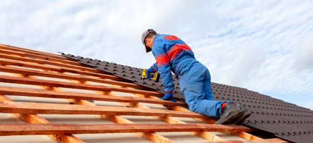 Best Gutter Installation and Repair  in Wildwood, TN