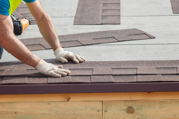 Best Sheet Metal Roofing  in Wildwood, TN